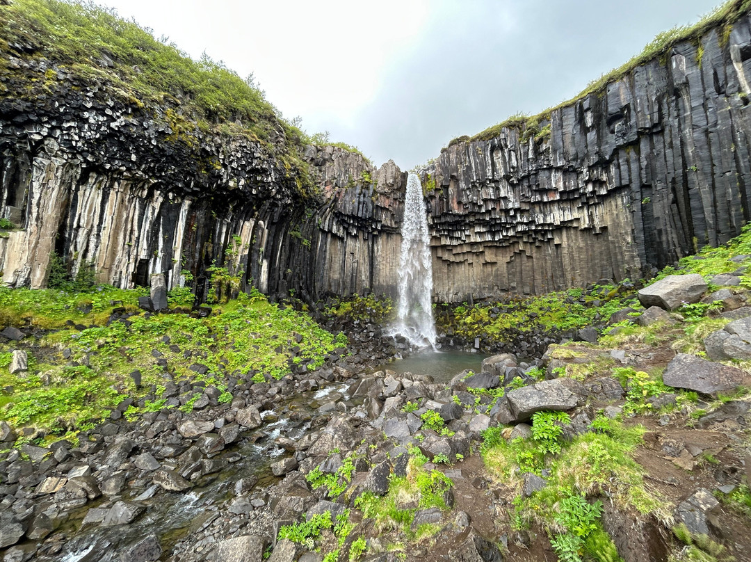 Svartifoss Waterfall-史卡法特必去景点