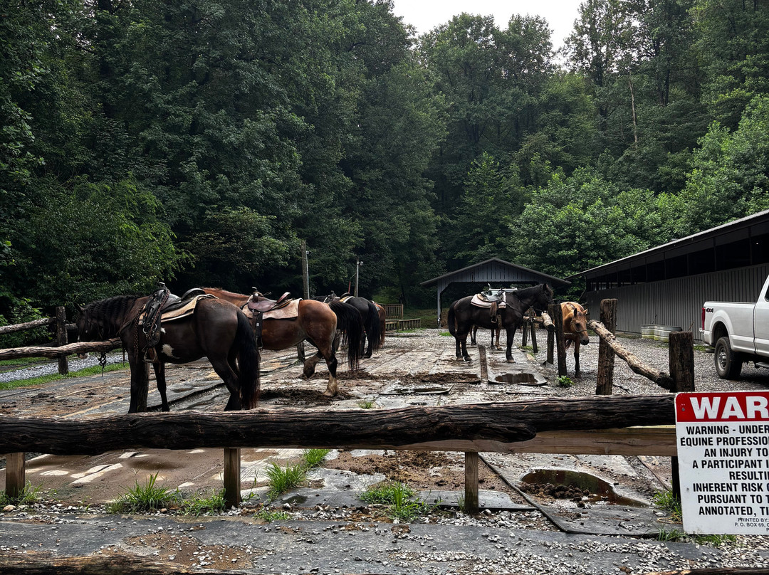 Sugarland Riding Stables-盖林柏格必去景点