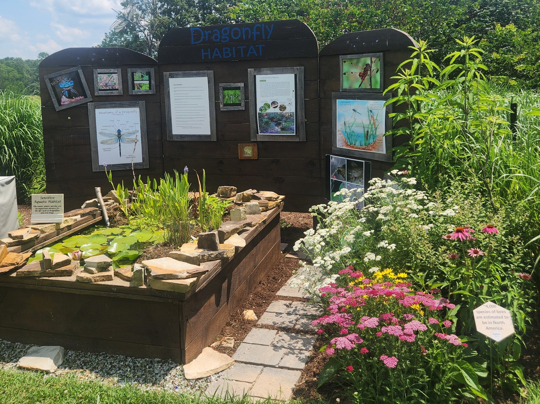 UT Gardens: Crossville, The Plateau Discovery Gardens-Crossville必去景点