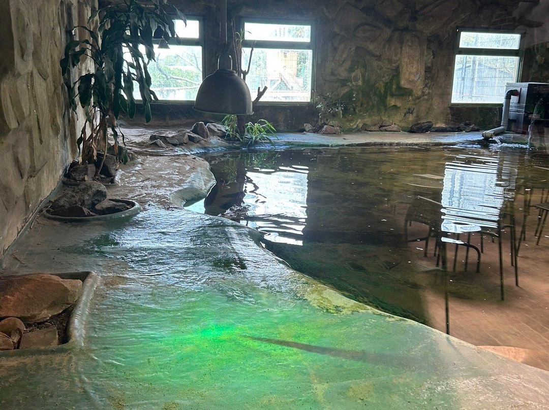 Terrazoo Rheinberg-Rheinberg必去景点