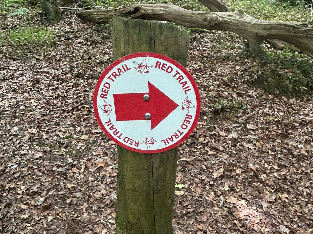 Becky Falls-Manaton必去景点