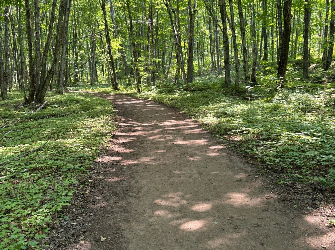 North Star Hotel Pictured Rocks主图
