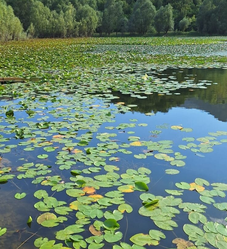 Rooms Novak Rijecani主图