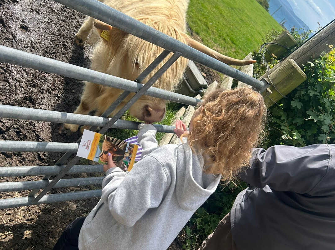 Bellevue Farm Tours-Blackwaterfoot必去景点