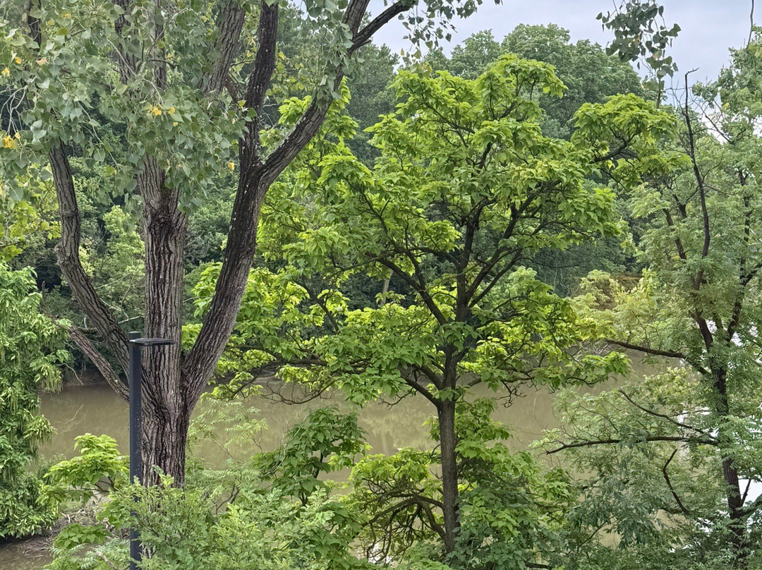 Marriott Columbus OSU主图