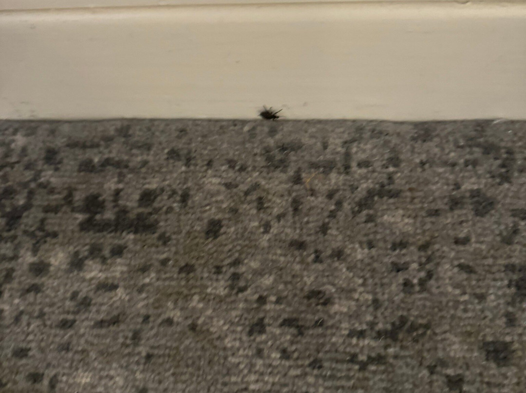 St. Pierre Golf & Country Club-切普斯托必去景点