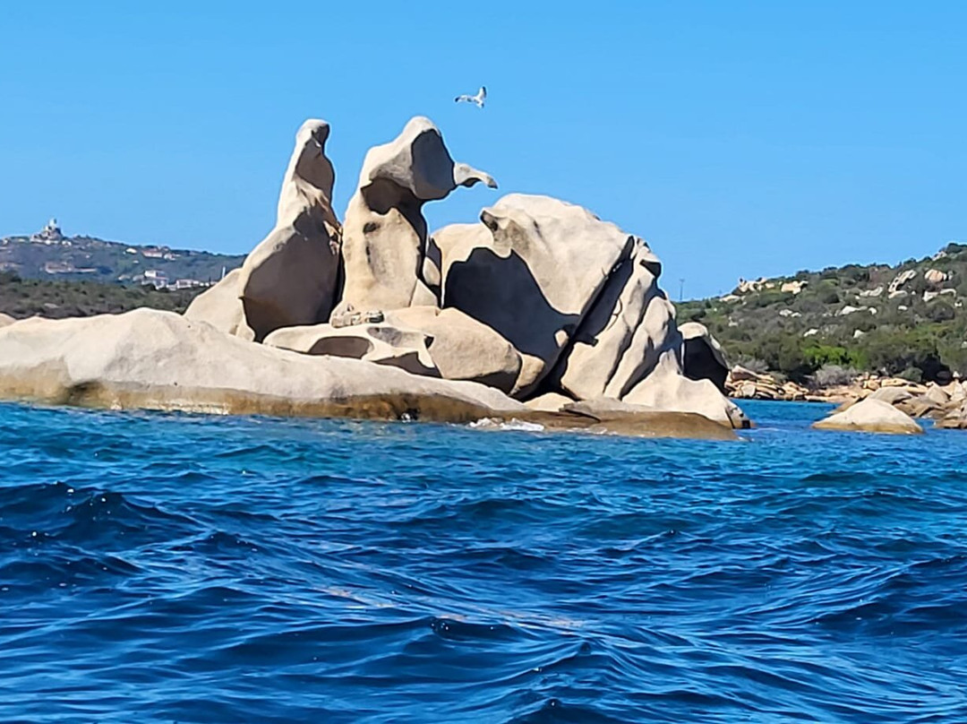 Freemind Experience-La Maddalena必去景点