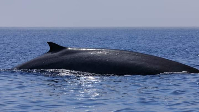 RS tour and cads-卡图纳耶克必去景点