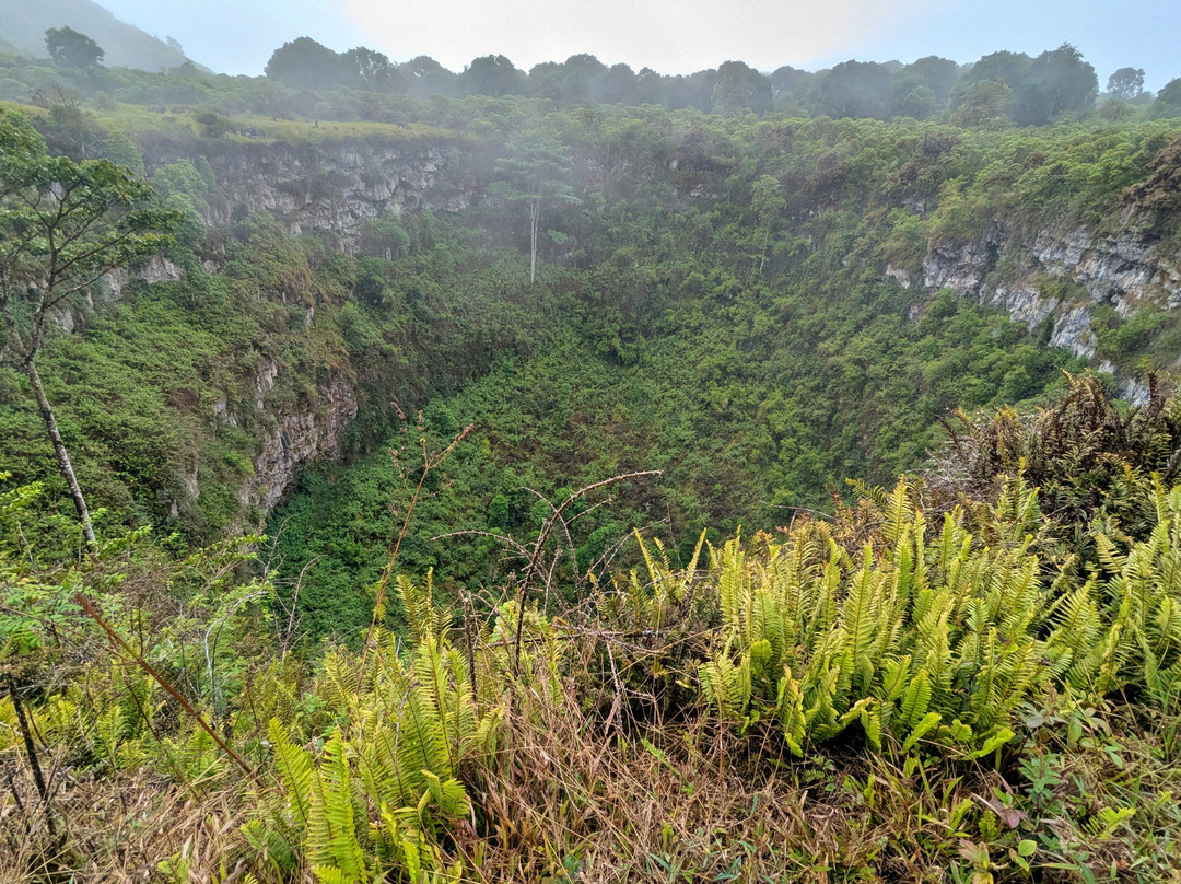 Los Gemelos-圣克鲁斯必去景点