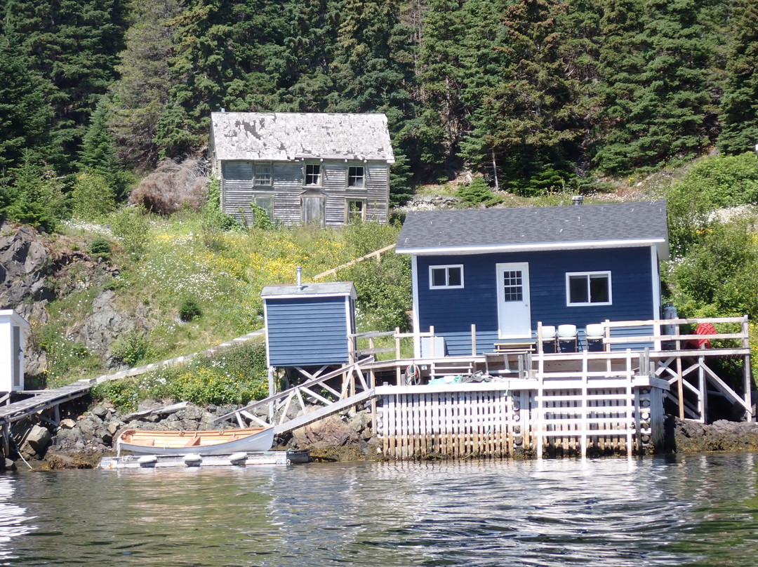 Adventures Newfoundland-Fortune Harbour必去景点