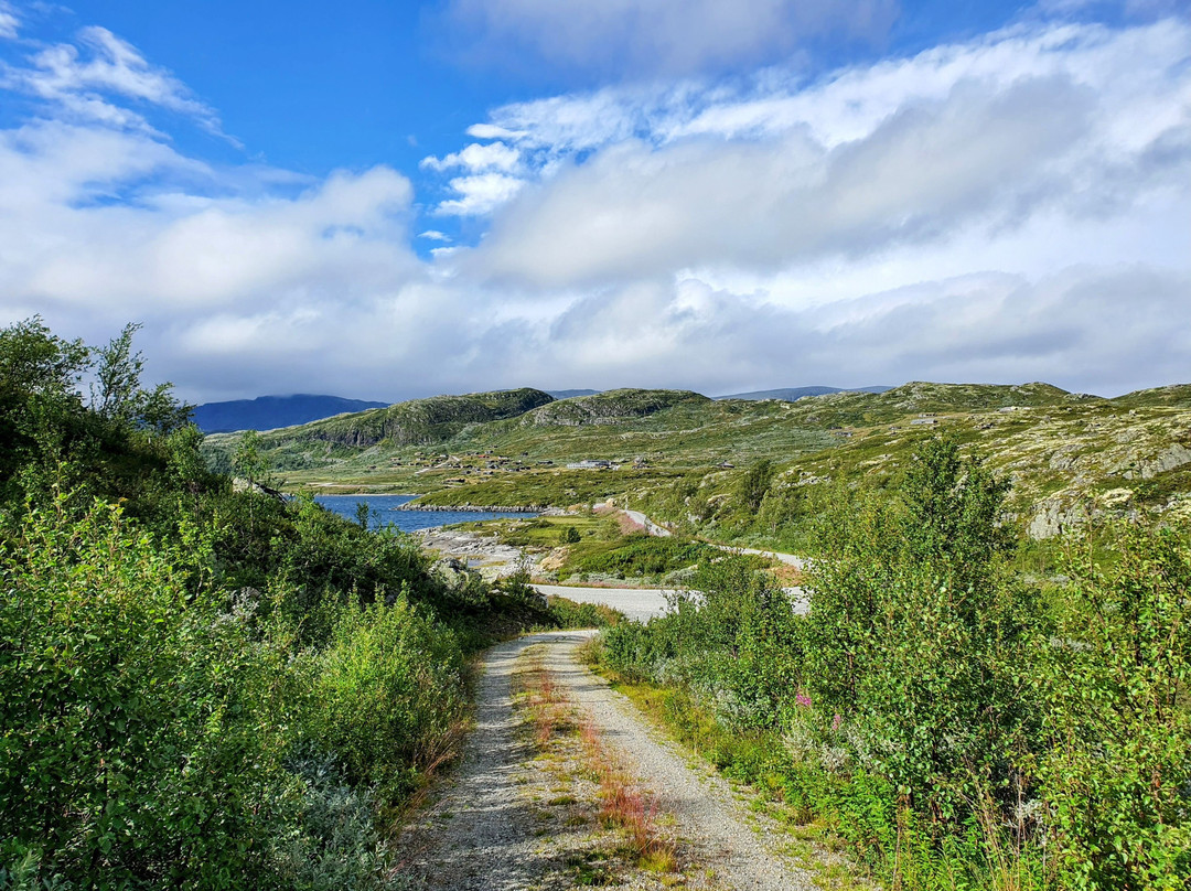 Rødungstøl Høyfjellshotell主图