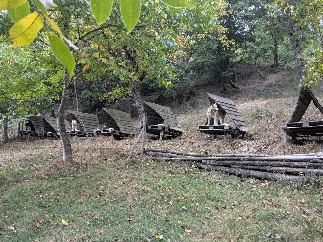 Le Repaire des Huskys-Arreau必去景点