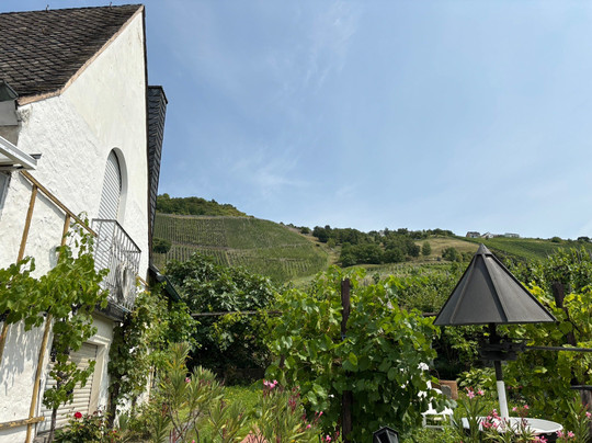 Weingut Otto Pauly Kg