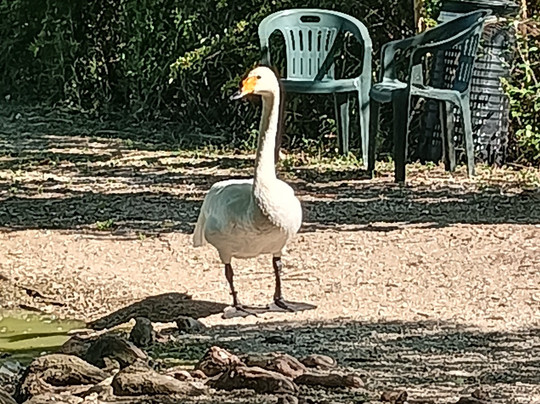 Oasi Naturalistica-Tortoreto必去景点