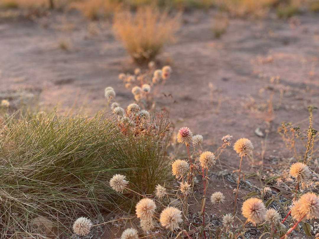 Mimbi Caves-菲茨罗伊克罗辛必去景点