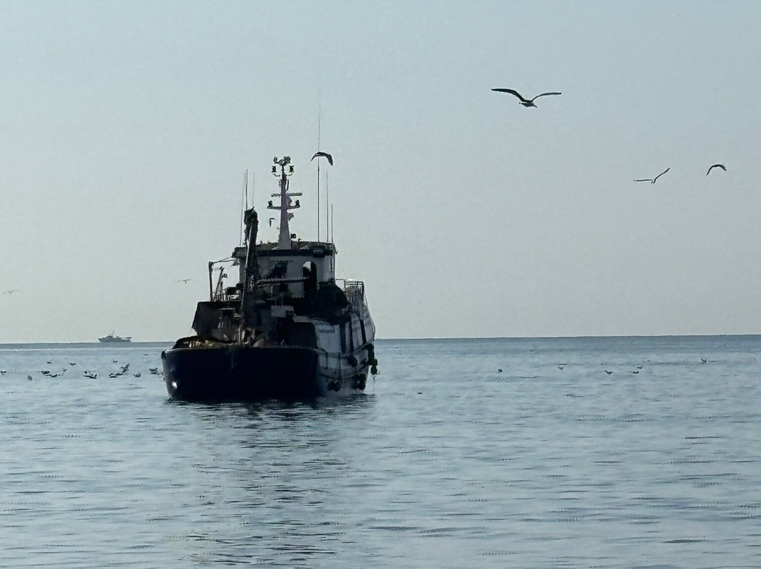 Catamaran Zostera-维雷斯马拉加必去景点