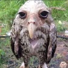 Royal Birkdale Golf Club-绍斯波特必去景点