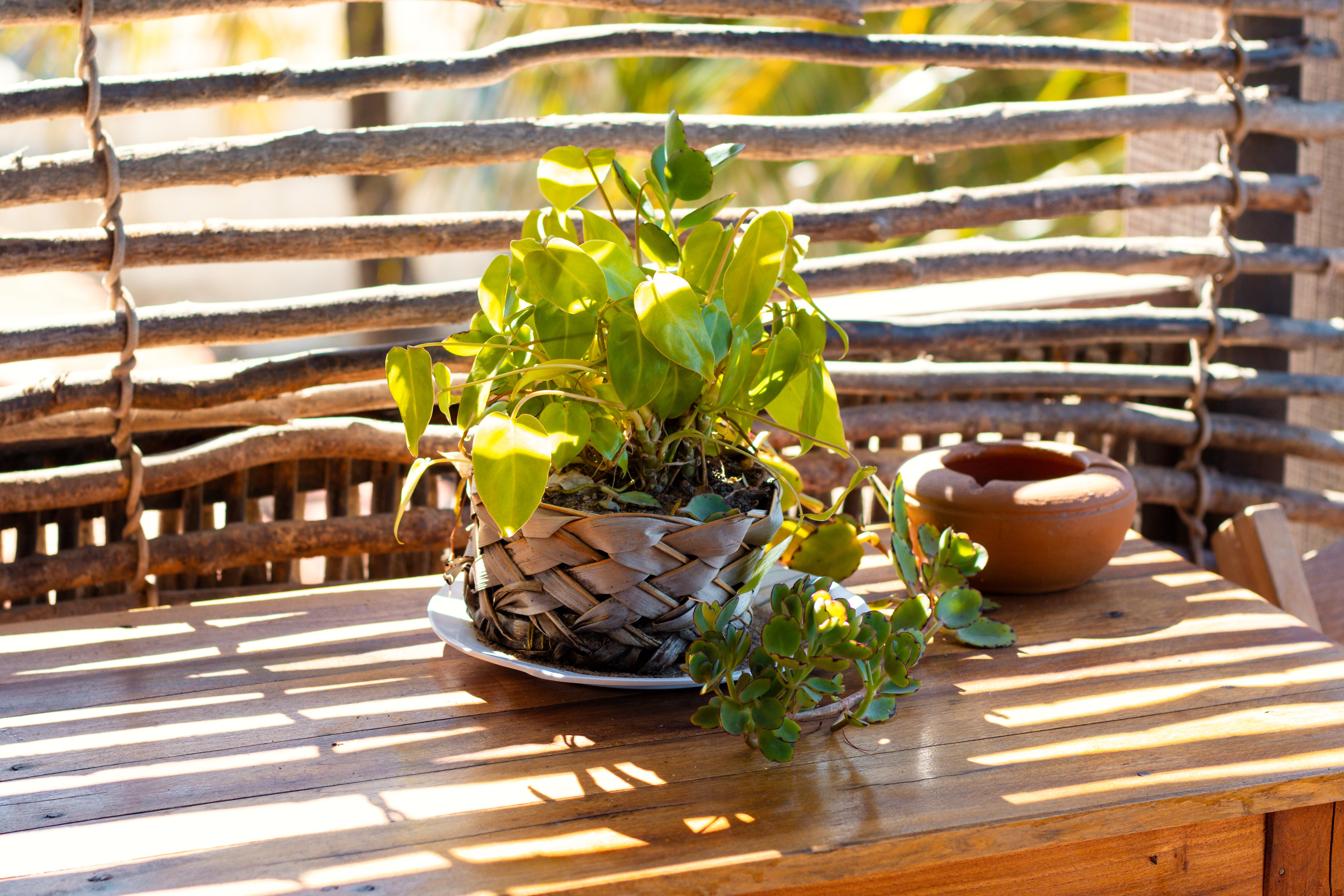 Pousada Brisa Del Mar-浴室