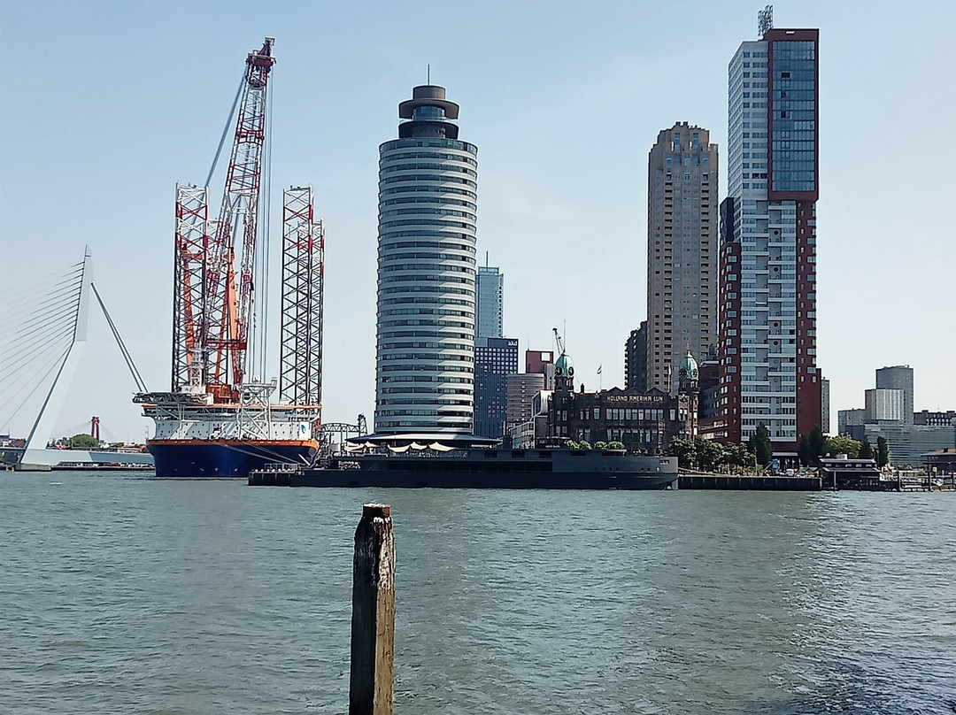 Wilhelminapier-鹿特丹必去景点