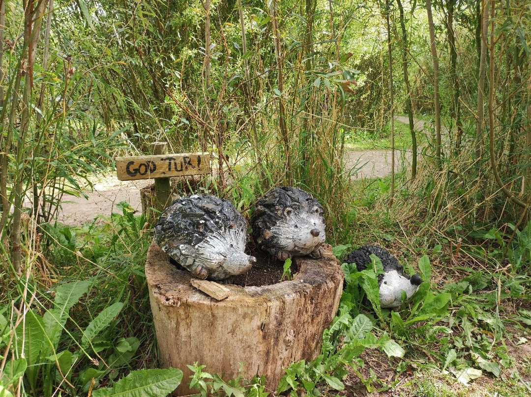 Gilleleje Labyrinth-吉勒莱厄必去景点