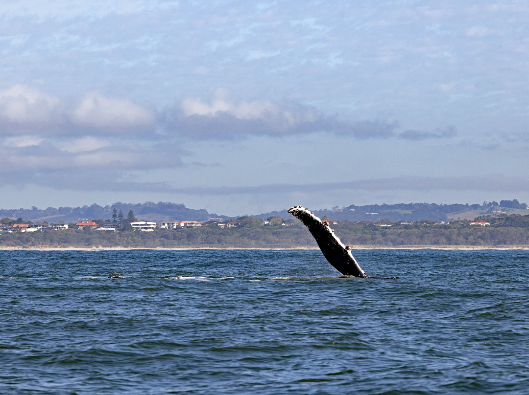 Out of The Blue Adventures-拜伦湾必去景点