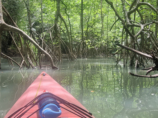 Paddle Asia - Private Custom Kayak Tours-普吉镇必去景点