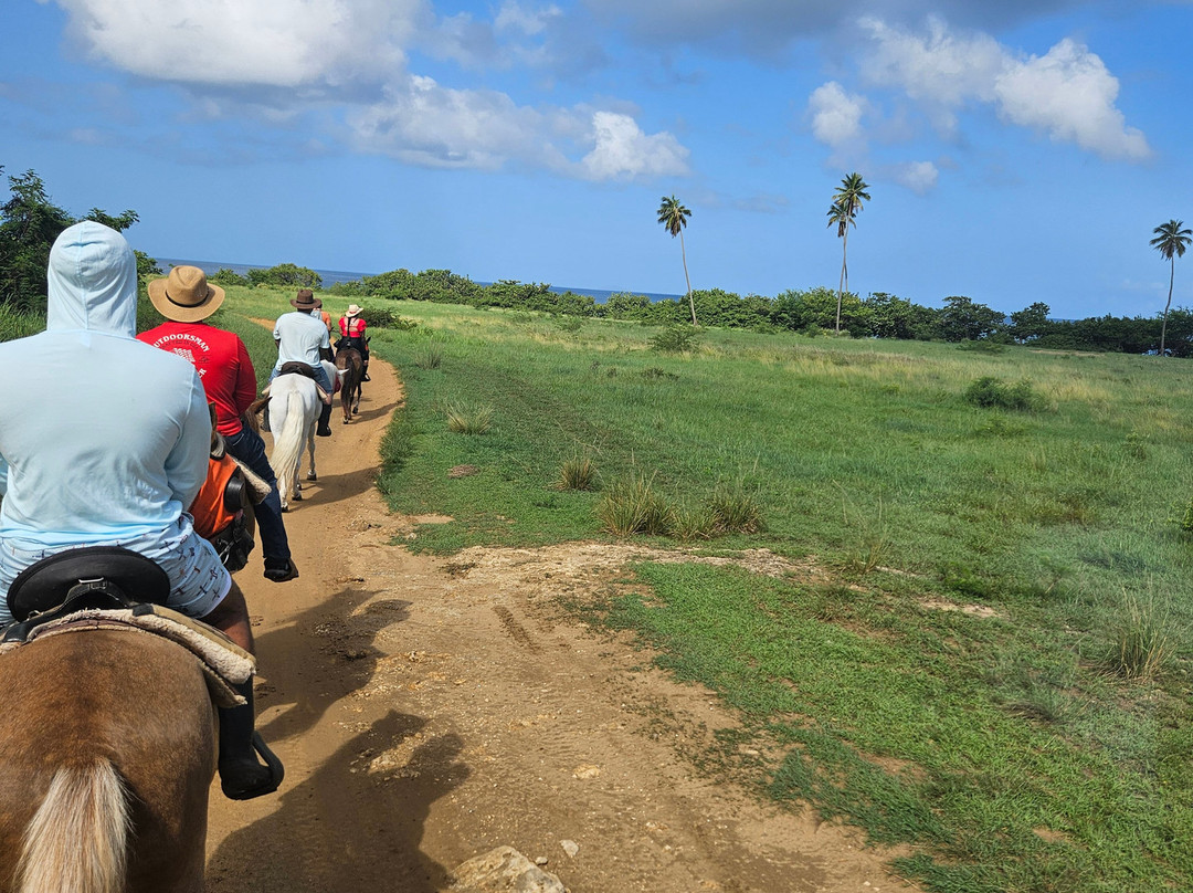 Playuelas Horse Rides-Aguadilla必去景点