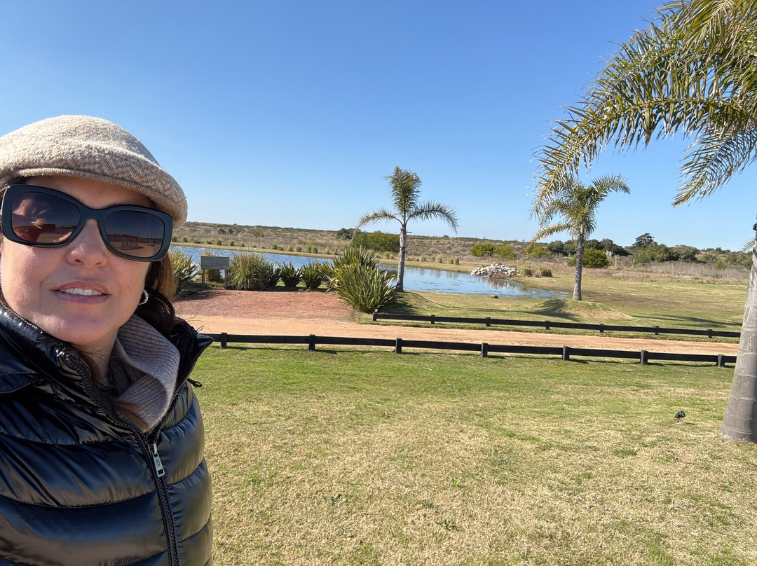 Hotel Fasano Punta del Este主图