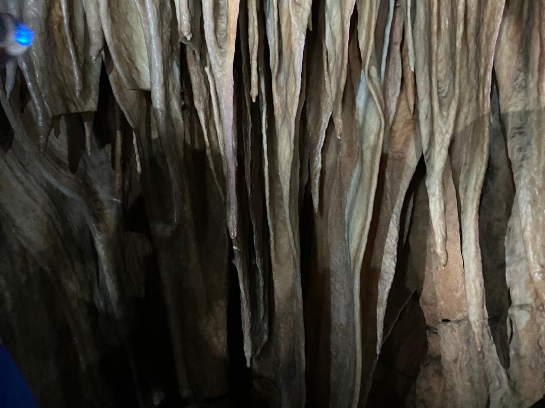 Modrič Cave-Rovanjska必去景点