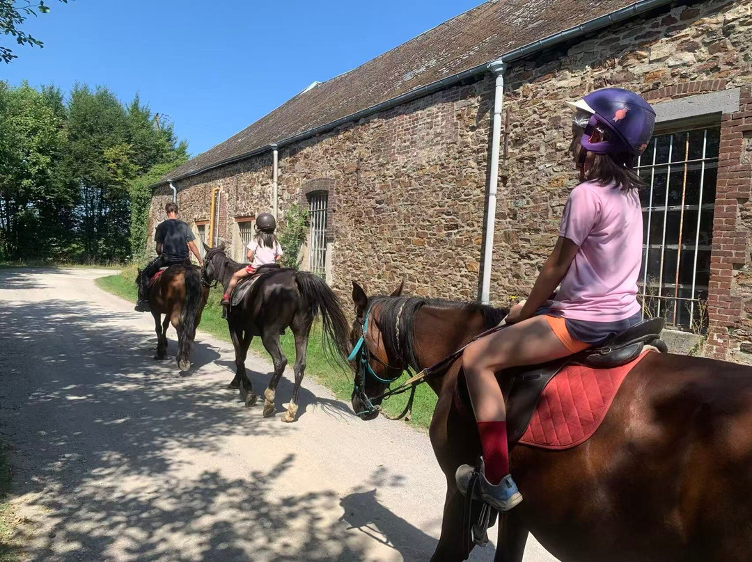 Ferme Equestre de la Croix Colas-Signy-le-Petit必去景点