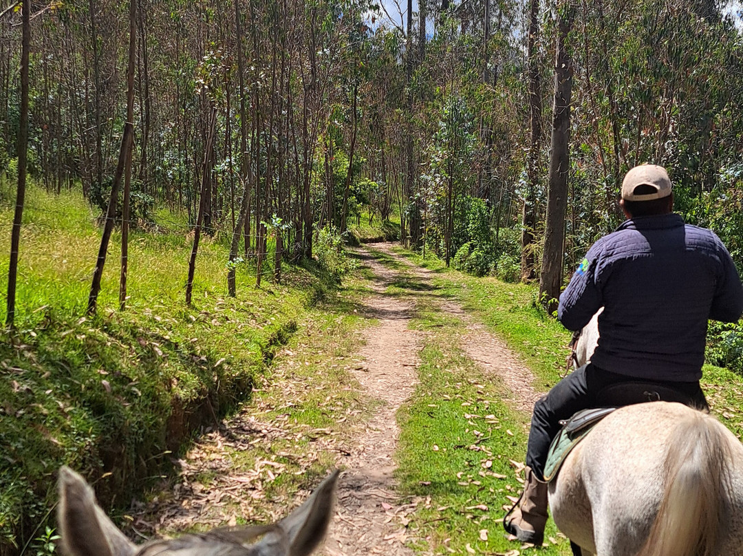 Todo Equino-Cayambe必去景点