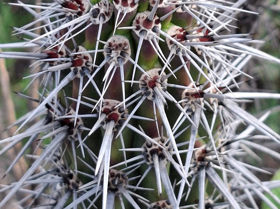 Bio Fan-Tehuacan必去景点