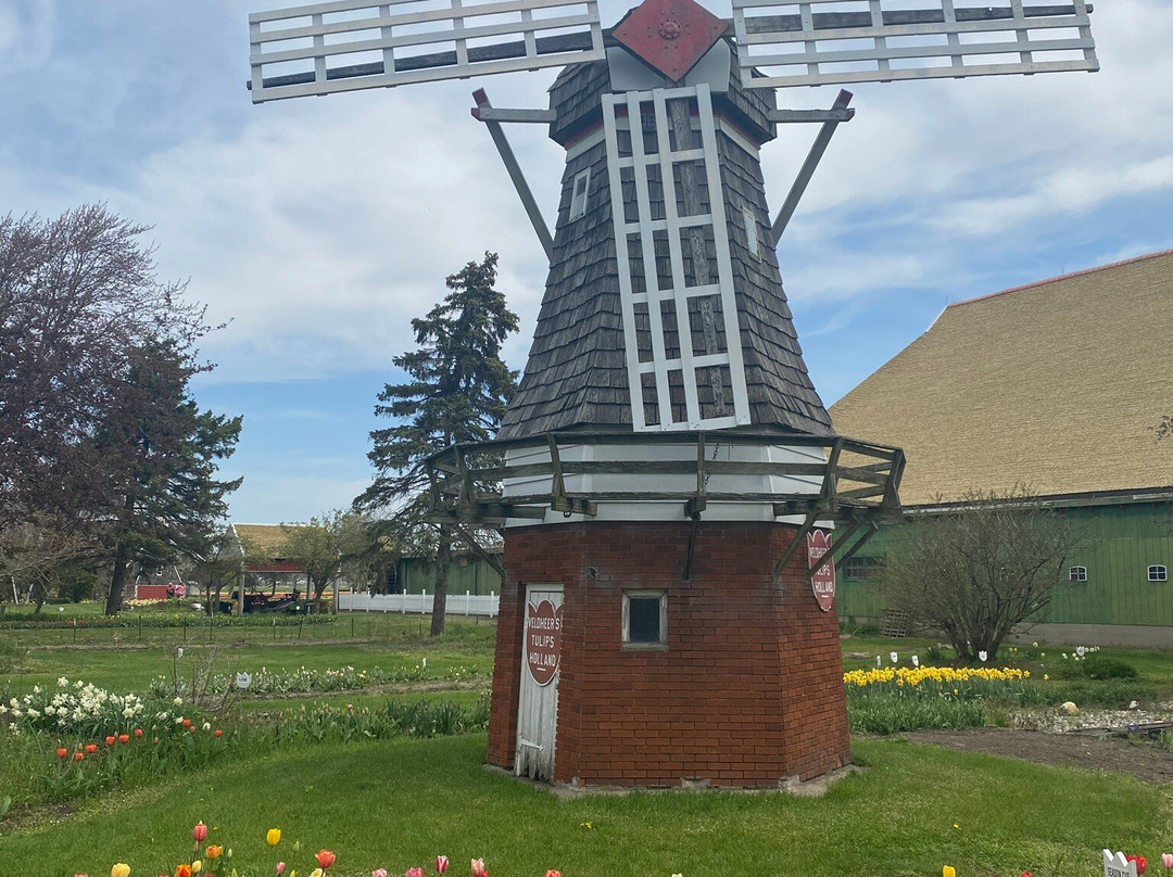 Veldheer Tulip Gardens-荷兰村必去景点