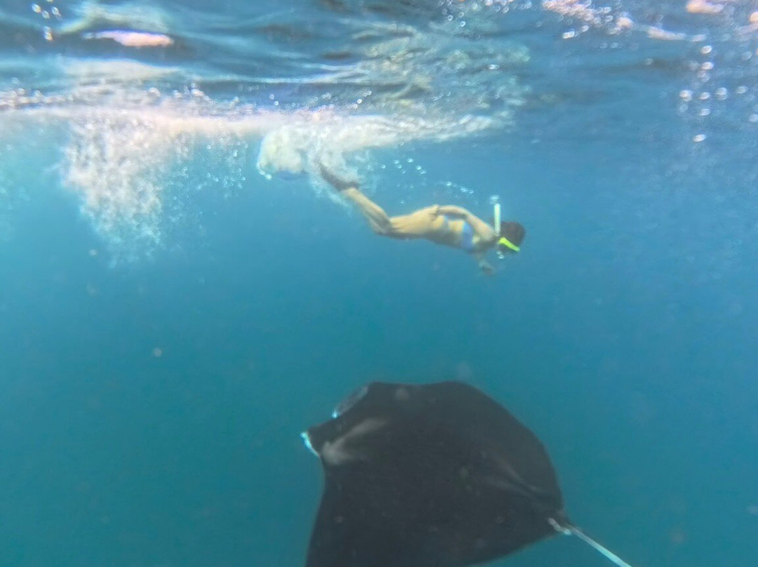 Bali Candidasa Tour-甘地达萨必去景点