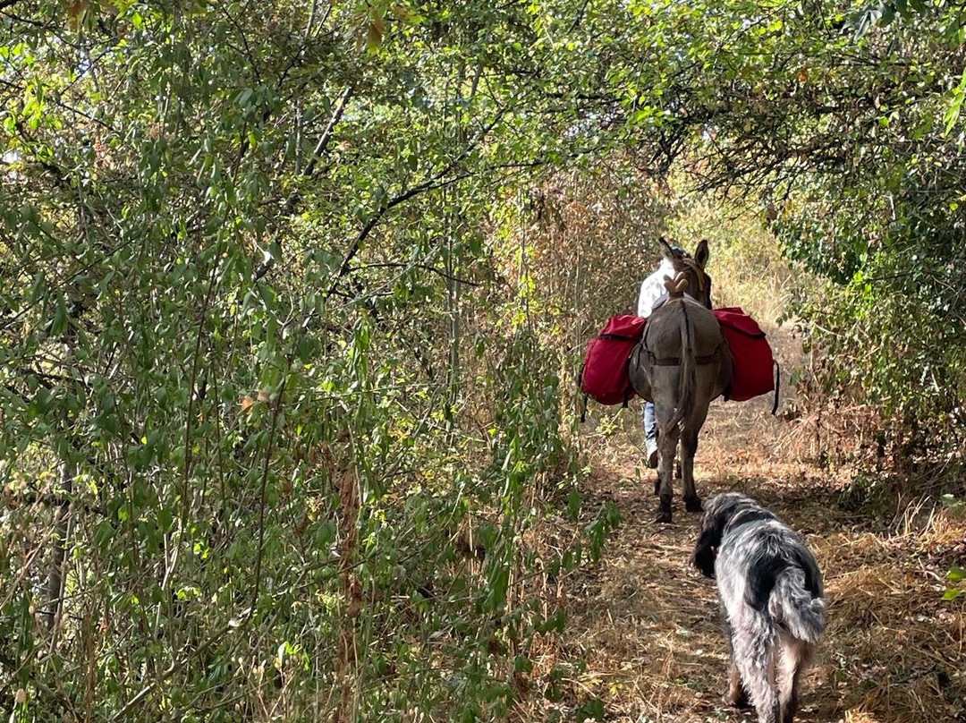 Balad'Ane-Ligneyrac必去景点