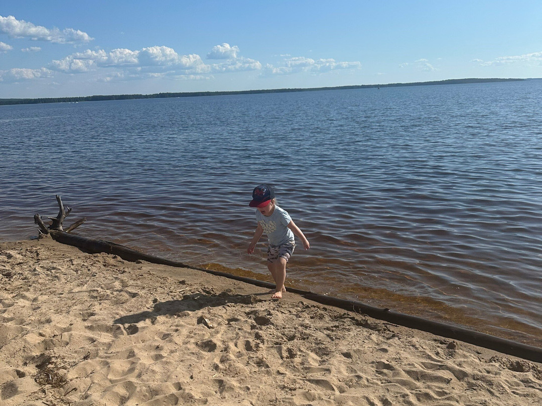 Ärjänsaari
