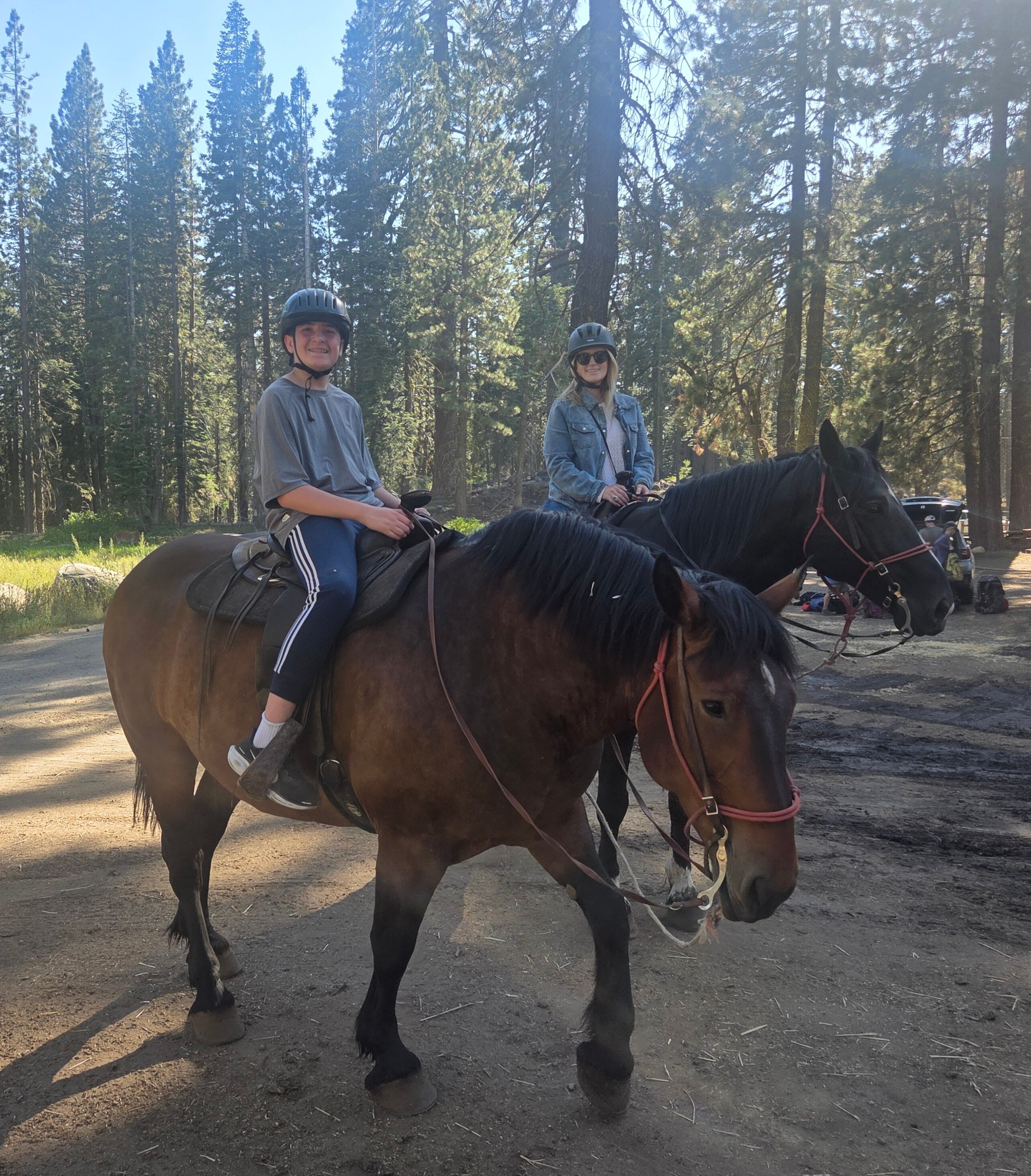 Pinecrest Lake Resort-官方