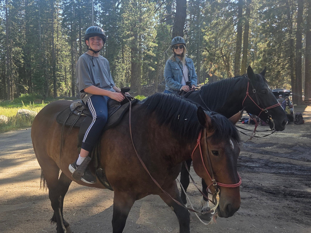 Pinecrest Lake Resort主图