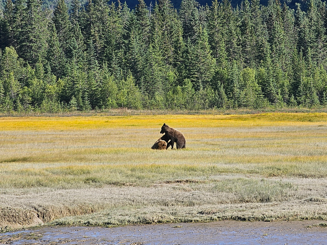 Catch A Lot Charters-荷马必去景点