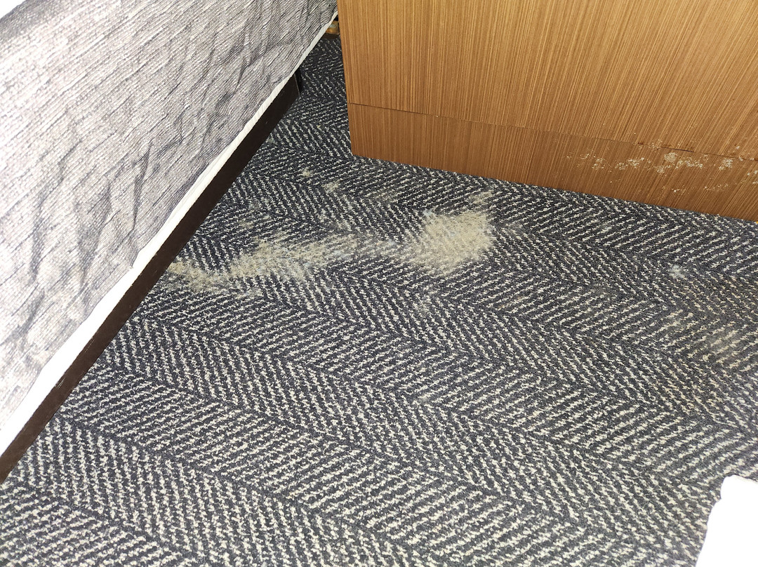 Courtyard by Marriott Wilmington Brandywine主图