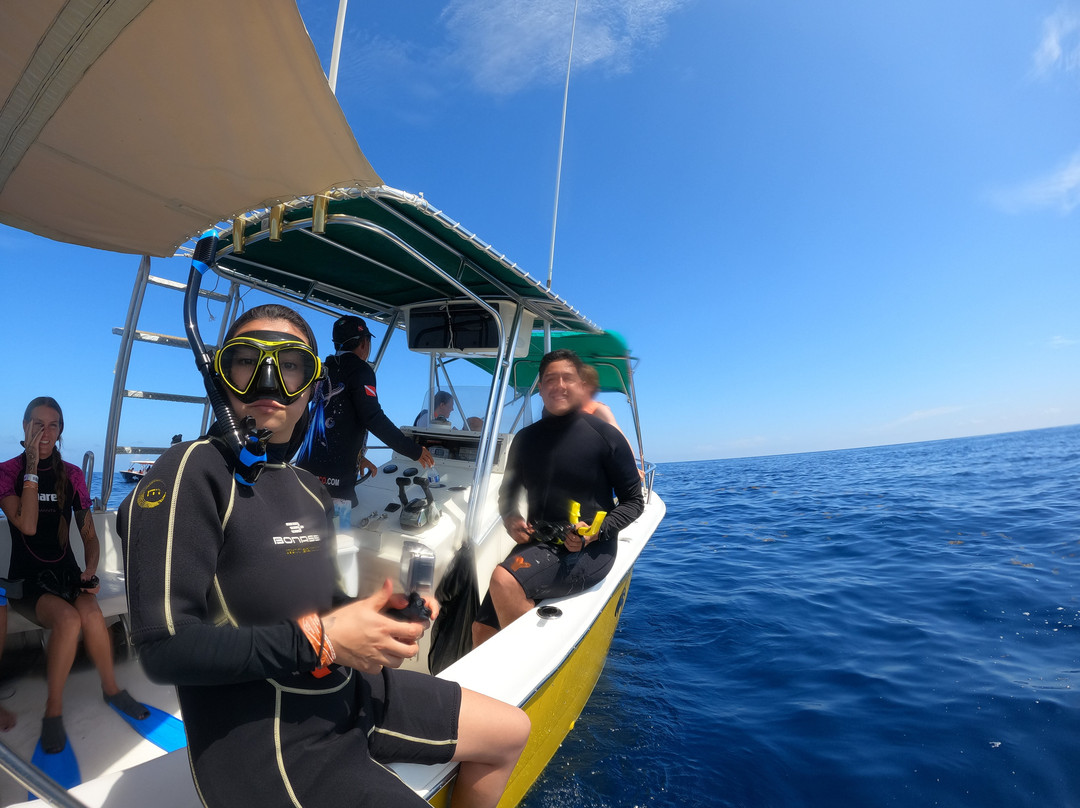 Blue H2o Cozumel Ocean Tours-考祖梅必去景点