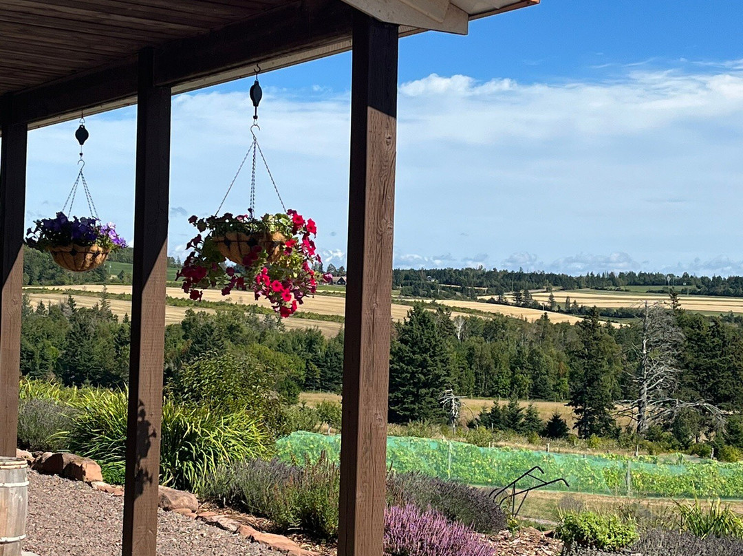 Island Honey Wine Company-Wheatley River必去景点