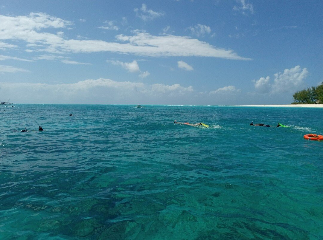 Nungwi Aquarium Adventures-孥归必去景点