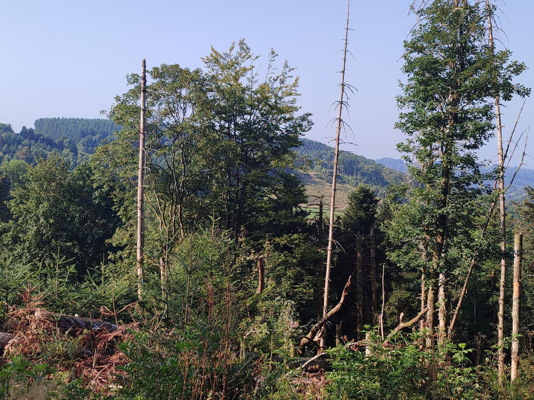 Ferme de la Jonchee主图