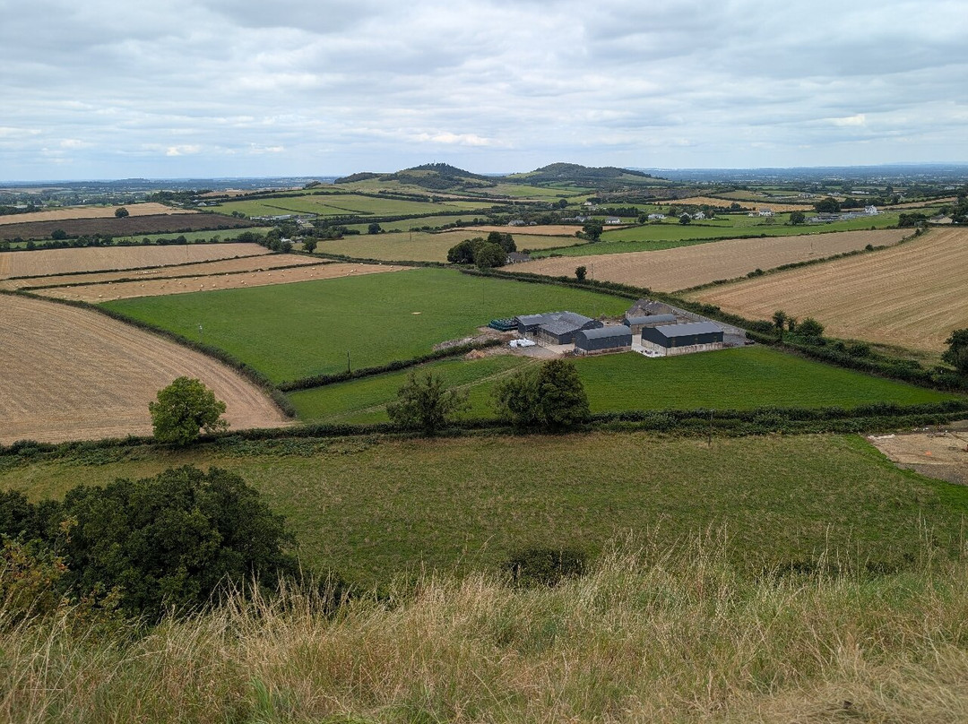 Rock of Dunamase-Portlaoise必去景点