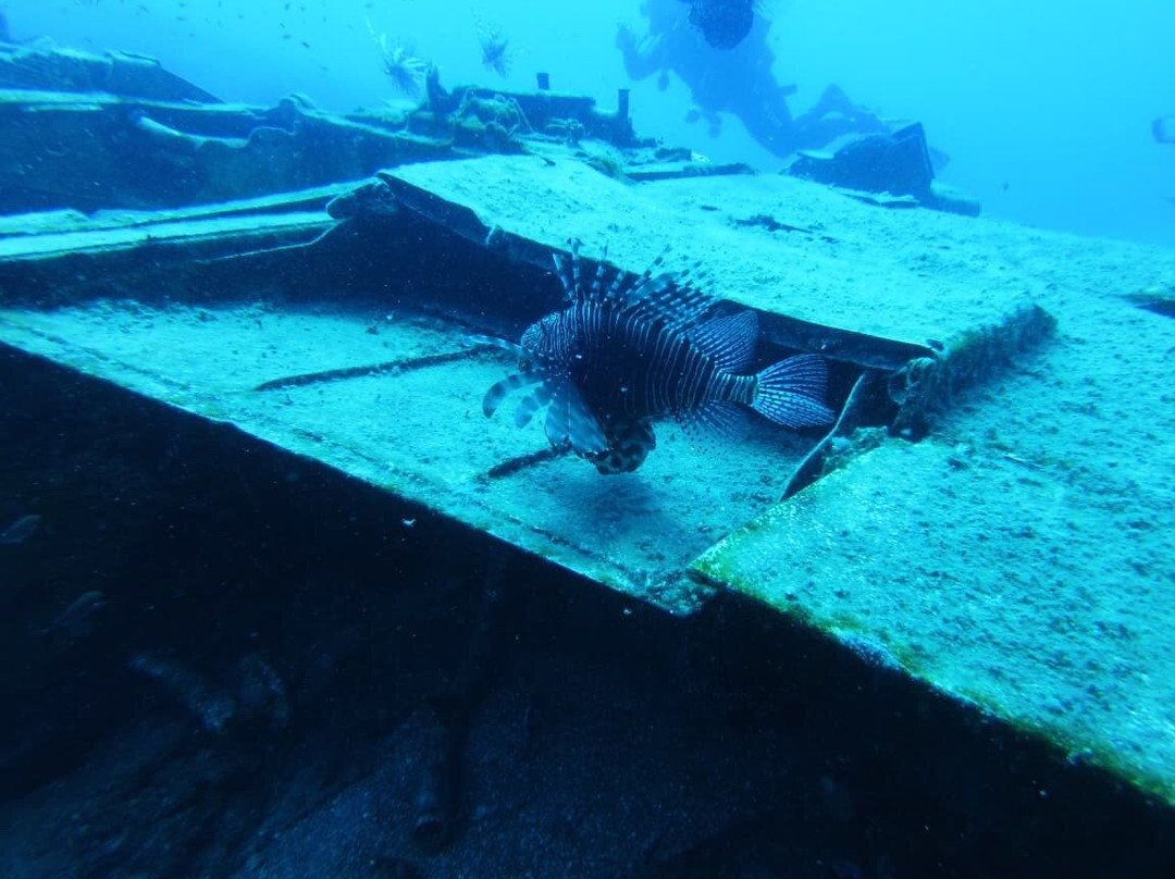Coral Diving Crete-Anissaras必去景点