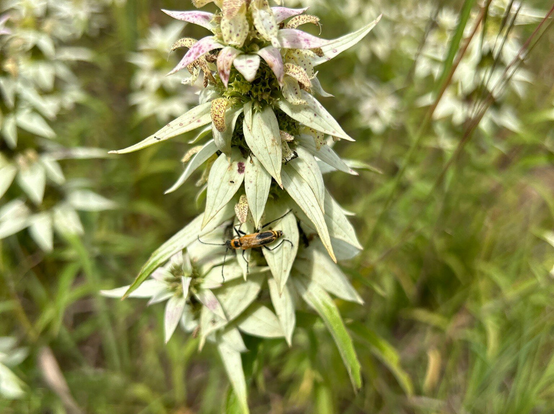 William O'Brien State Park-Marine on Saint Croix必去景点