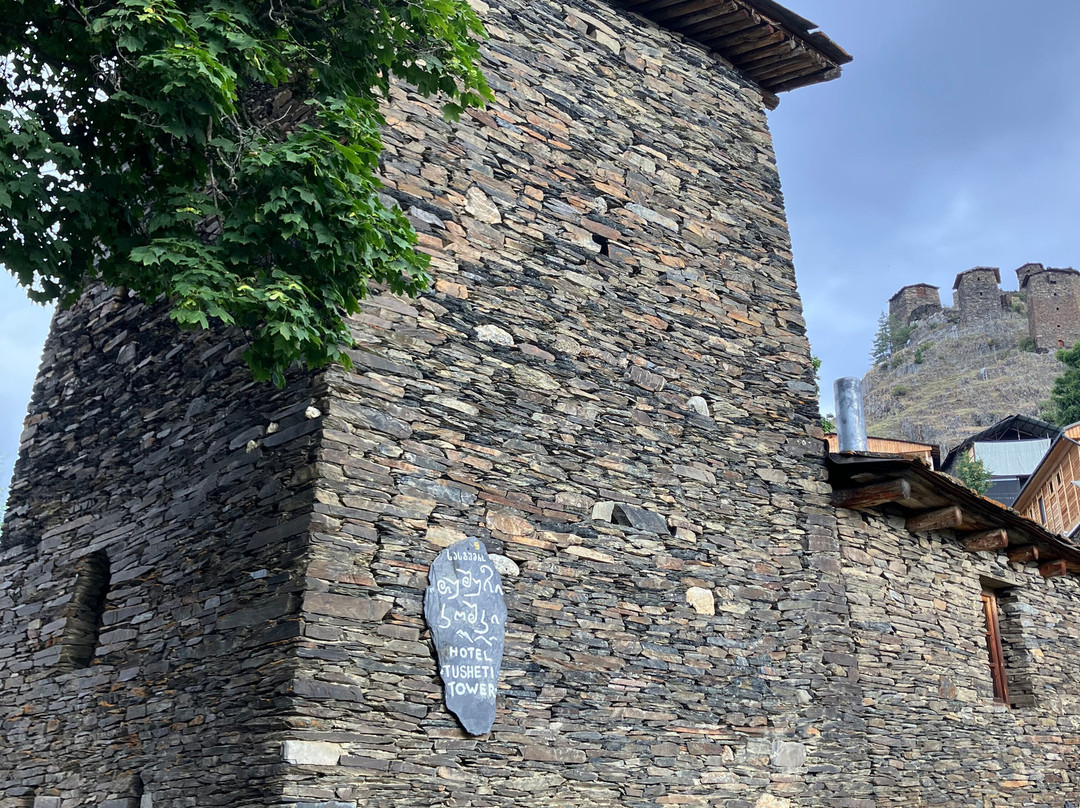 Hotel Tusheti主图