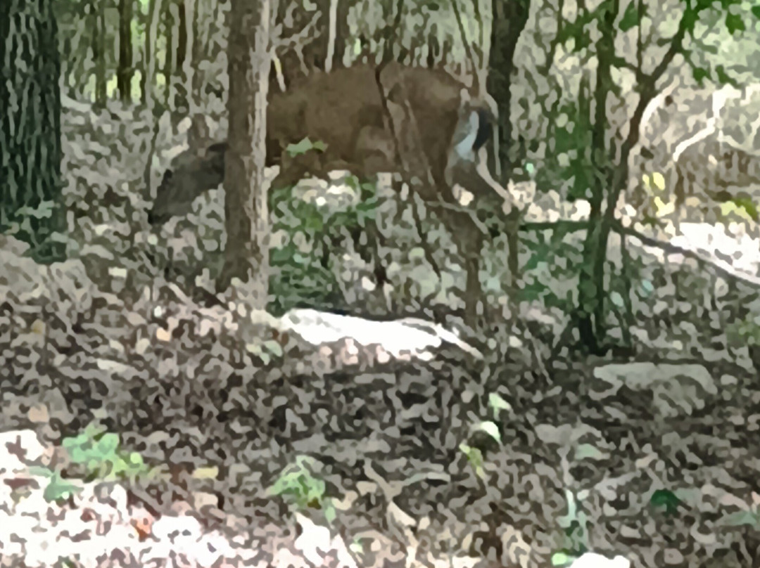 Chewacla State Park-奥本必去景点