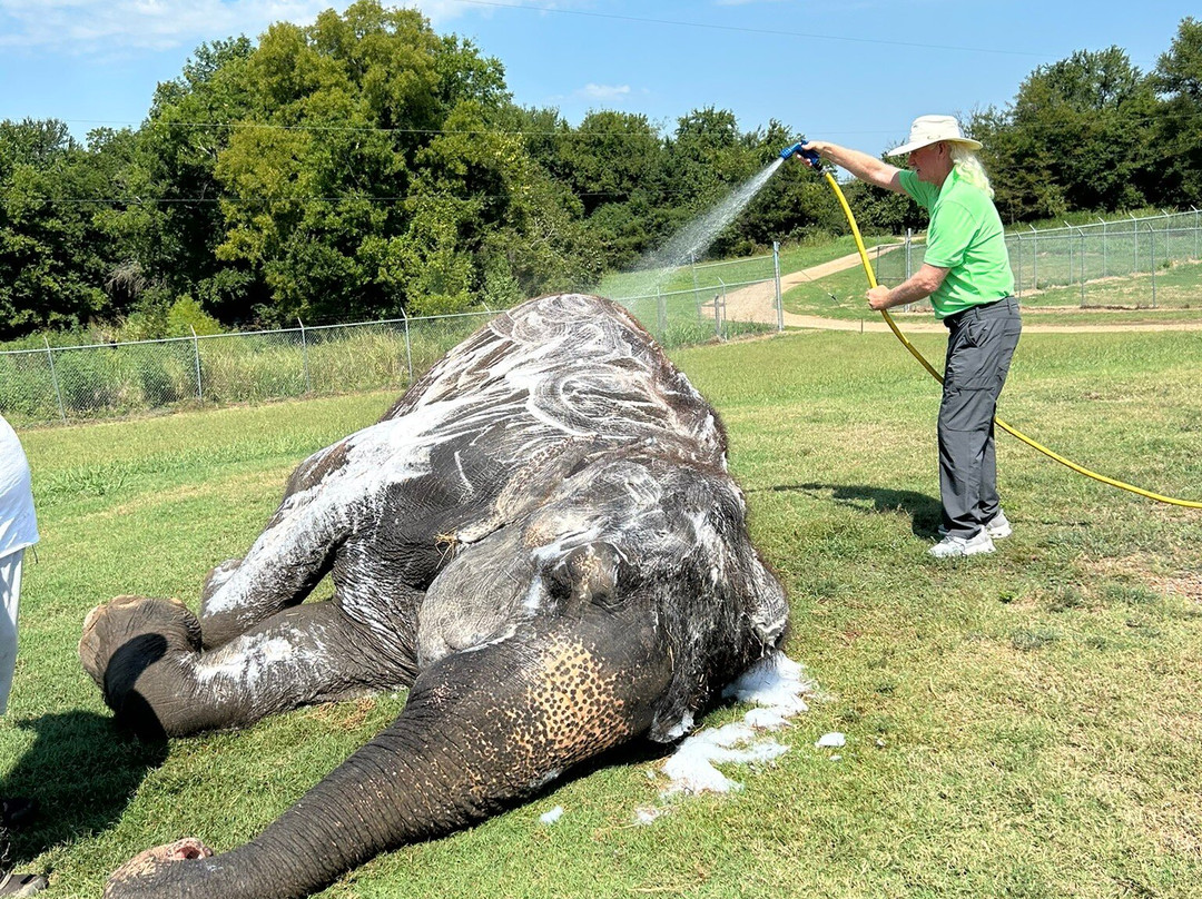 The Endangered Ark Foundation-Hugo必去景点